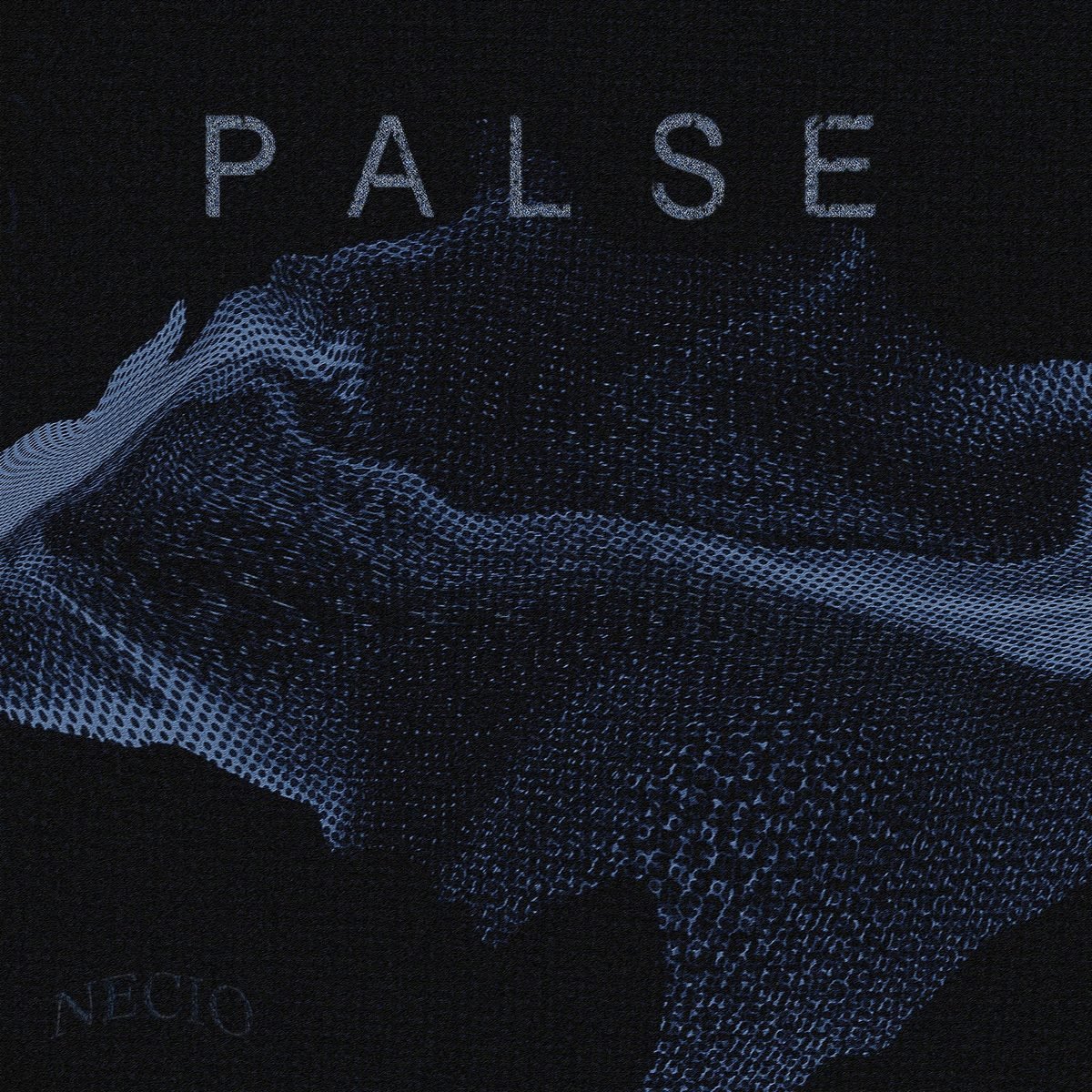 Portada de PALSE